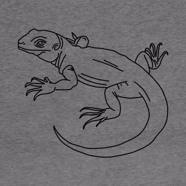 lizard by Minimalist Co.